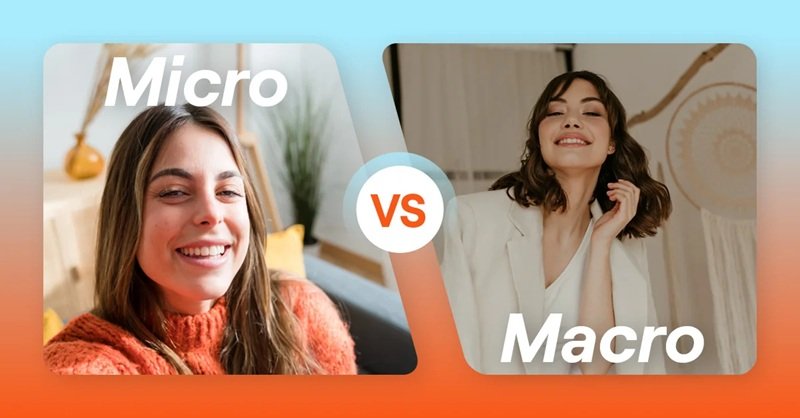 micro vs macro influencers which works better for campaigns